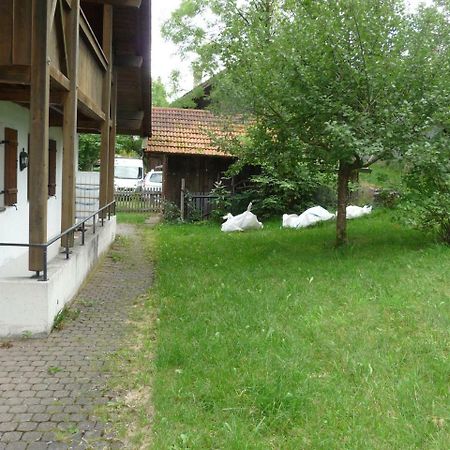Villa Ferienhaus beim Holzeder Wangen  Exterior foto